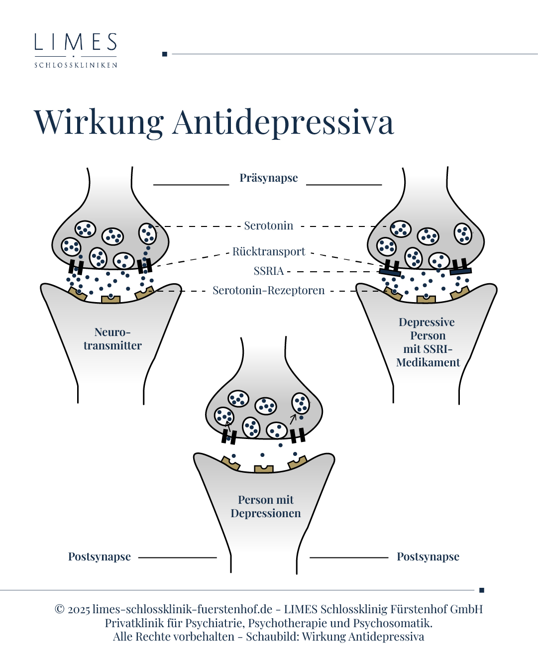 Antidepressiva sorgen dafür, dass Serotonin länger im sympatischen Spalt verbleiben und somit eine höhere Menge an die Serotonin-Rezeptoren andocken können.